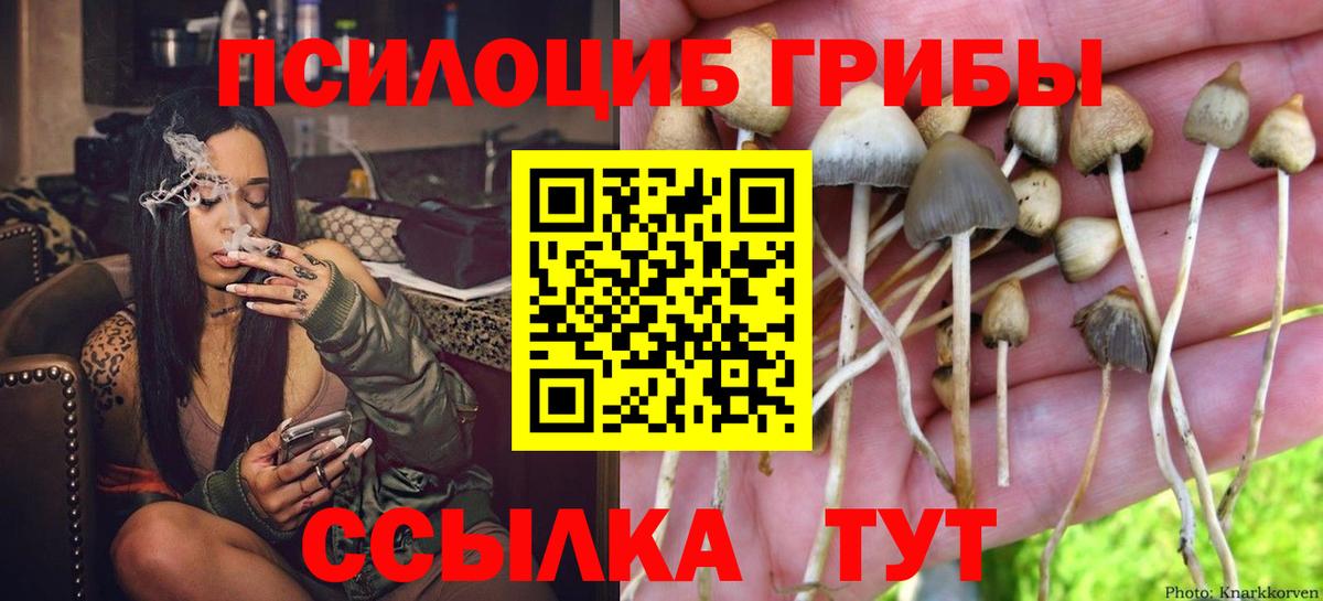 Псилоцибиновые грибы ЛСД  Вход с VPN  Жигулёвск 